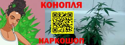Альфа ПВП Шебекино