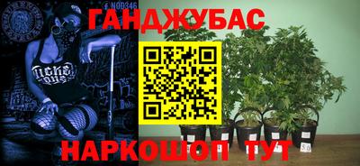 Альфа ПВП Шебекино