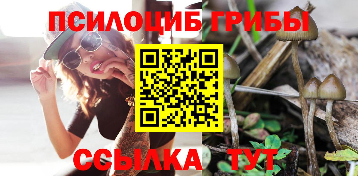 Галлюциногенные грибы прущие грибы  Вход с VPN  Большой Камень  Псилоцибиновые грибы Psilocybine cubensis 